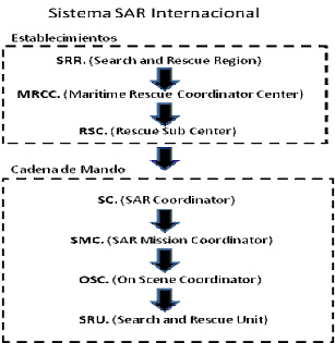 Organización
