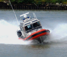 Defender 33 pies