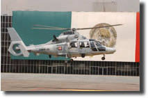 Panthers AMPH-150