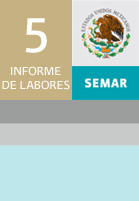 informe de labores