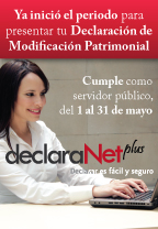 declaracion patrimonial