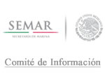 comite de información