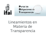 lineamientos en materia de transparencia