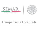 transparencia focalizada