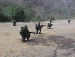 adiestramiento