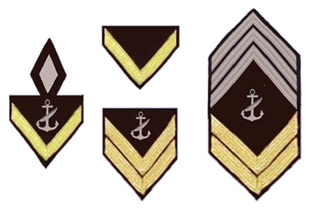 Distintivos de constancia de buena conducta
