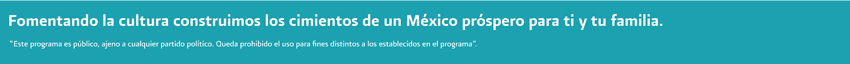 programa publico