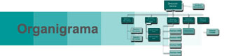 Organigrama